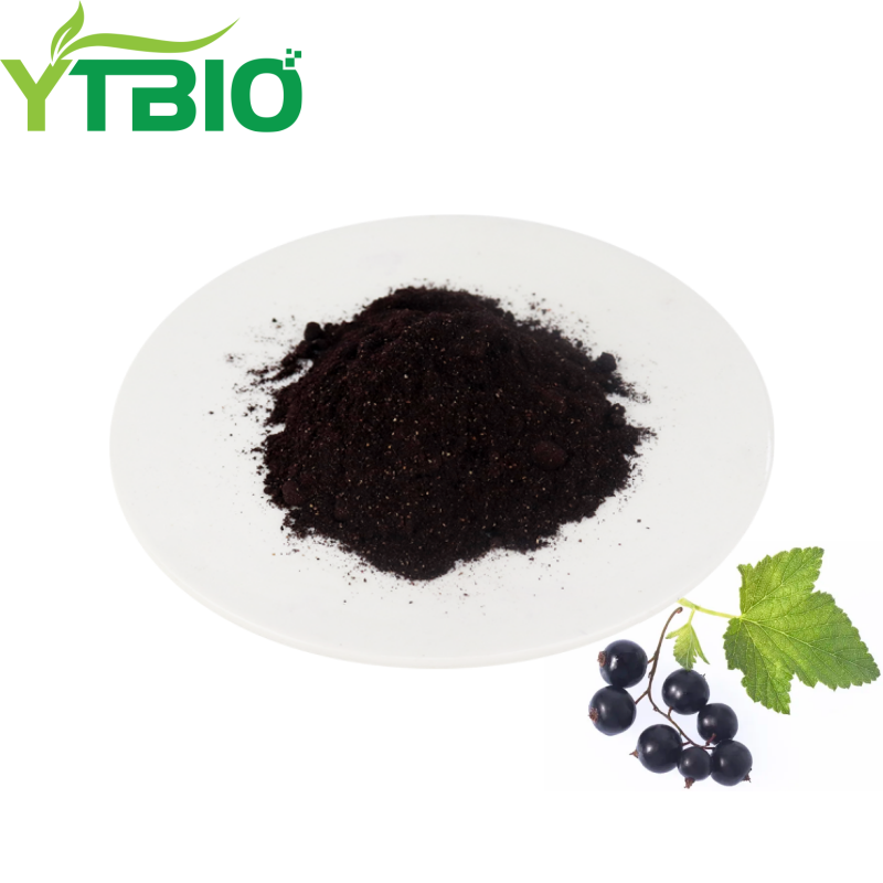 Black Currant Fruit Powder